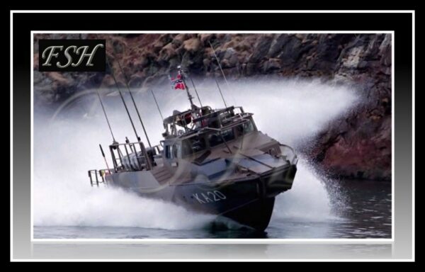 Björgunar bátur - Fjölnota Bátur 1100hp Senda fyrirspurn: Sérpöntun