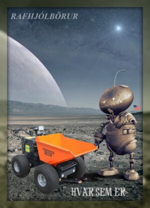 RAFHJÓLBÖRUR FSH DC 350KG (2)