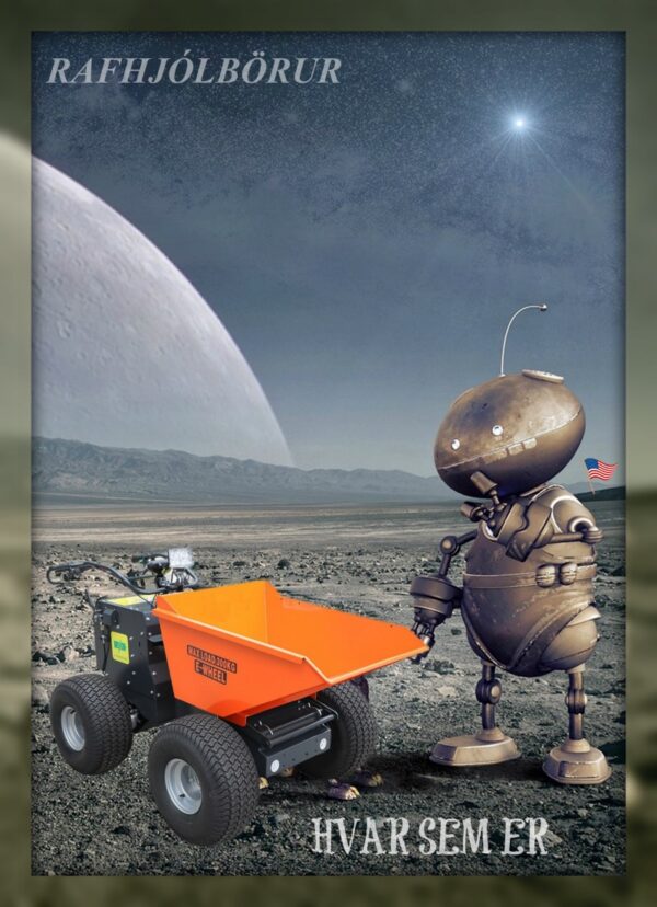 RAFHJÓLBÖRUR FSH DC 350KG (2)