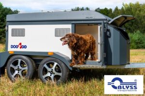 Hundavagnar Senda fyrirspurn