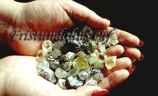 Demantsgreinir FSH-X200 Demantsgreinir