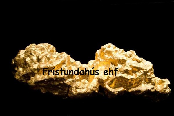 Málmleitartæki T2 / Special Limited Edition 2026