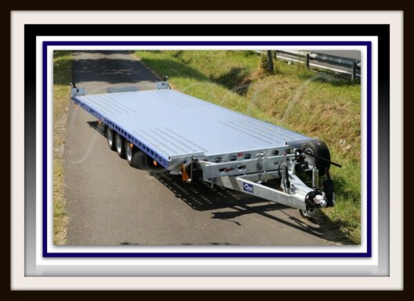 BÍLA OG VÉLAKERRA MEÐ STURTU FSH-MER-P Sérpöntun