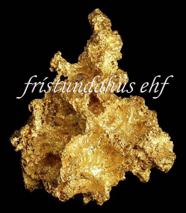 Málmleitartæki T2 / Special Limited Edition 2026