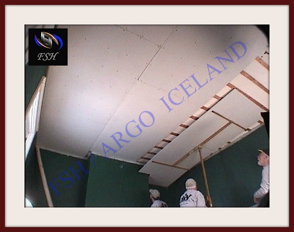 PLÖTULYFTA FSH- DL-16. LYFTIR Í 4,7m með halla.