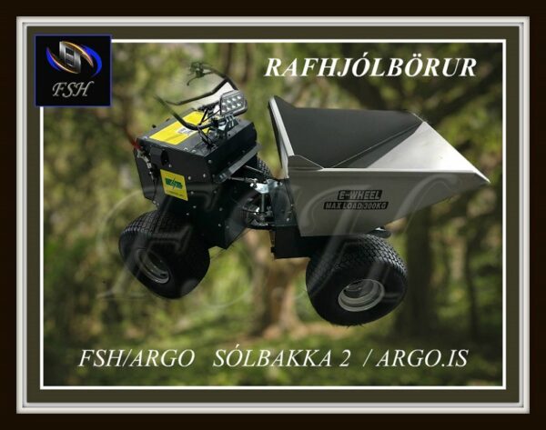 RAFHJÓLBÖRUR FSH DC 350KG (2)
