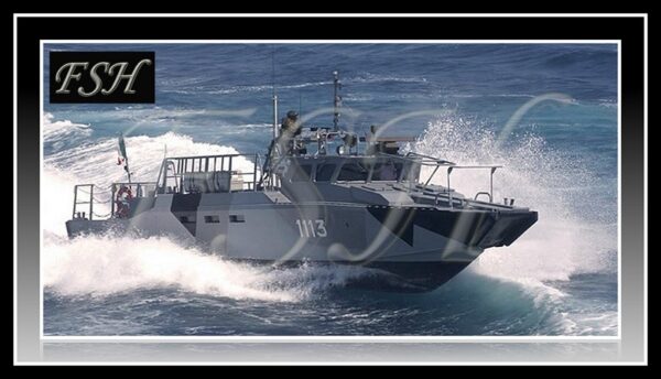 Björgunar bátur - Fjölnota Bátur 1100hp Senda fyrirspurn: Sérpöntun